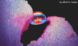 GIRL AND GORGONIA IN NIGHT DIVING
Nikonos 15 mm+ Ikelite... by Alberto Romeo 